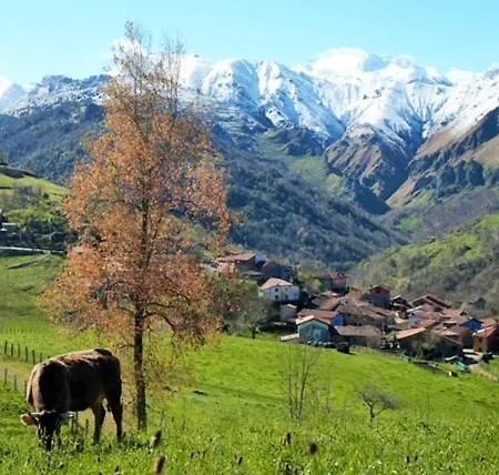 La Casita * Ονίς